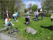 Eiche03