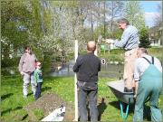 Eiche08