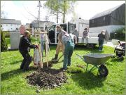 Eiche09